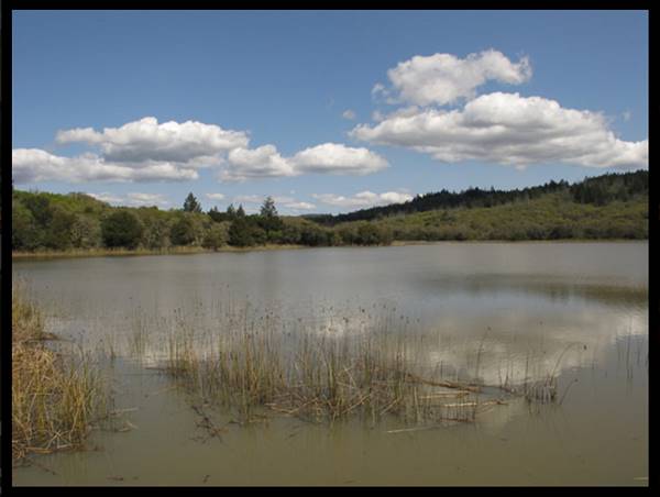 Trione-Annadel State Park (SP) - Photo courtesy of Tim Sartoris (4/7/2016 - Credits: Photo courtesy of Tim Sartoris)