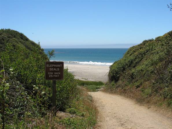 Año  Nuevo State Park (SP) - Photo courtesy of Tim Sartoris (4/7/2016 - Credits: Photo courtesy of Tim Sartoris)