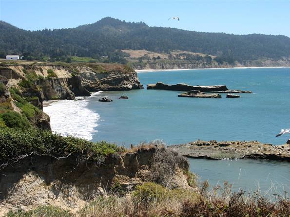 Año  Nuevo State Park (SP) - Photo courtesy of Tim Sartoris (4/7/2016 - Credits: Photo courtesy of Tim Sartoris)