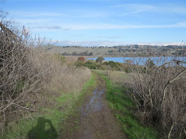 Benicia State Recreation Area (SRA) - Photo courtesy of Tim Sartoris (4/7/2016 - Credits: Photo courtesy of Tim Sartoris)