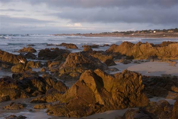 Asilomar State Beach and Conference Grounds - Photo by Callie Bowdish (4/7/2016 - Credits: Photo by Callie Bowdish)