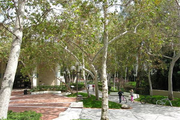 University of Southern California - USC (4/15/2016 - Credits: Photo by Robin Citrin)