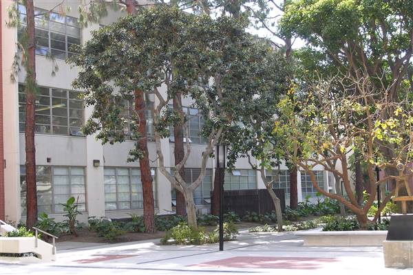 University of Southern California - USC (4/15/2016 - Credits: Photo by Robin Citrin)