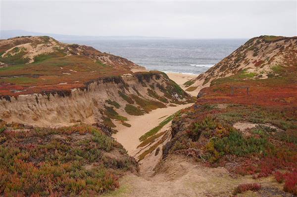 Fort Ord Dunes State Park (SP) (10/17/2013 - Credits: By McGhiever (Own work) [CC BY-SA 3.0 (http://creativecommons.org/licenses/by-sa/3.0)], via Wikimedia Commons)