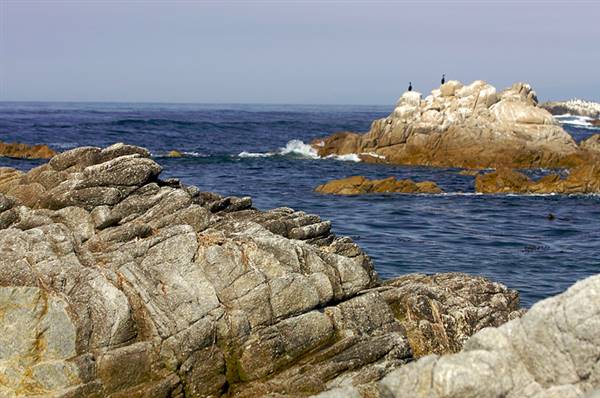 Asilomar State Beach and Conference Grounds (2/15/2009 - Credits: By Aaron Logan from Sunnyvale, CA, USA (Asilomar rock formations  Uploaded by Ekabhishek) [CC BY 2.0 (http://creativecommons.org/licenses/by/2.0)], via Wikimedia Commons)