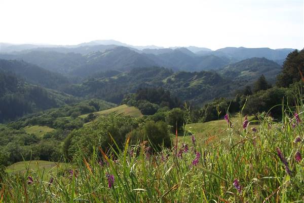 Austin Creek State Recreation Area (SRA) (4/12/2004 - Credits: By Brian Michelsen from Santa Rosa, California, USA (Flickr) [CC BY 2.0 (http://creativecommons.org/licenses/by/2.0)], via Wikimedia Commons)