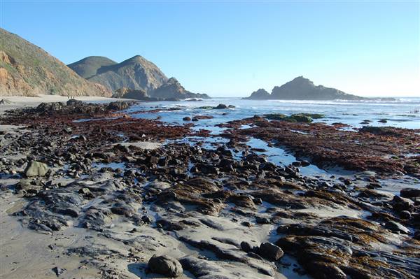Pfeiffer Beach @ Big Sur - Los Padres National Forest - not a state park (12/24/2011 - Credits: "Pfeiffer Beach Big Sur" by Flickr User: FarOutFlora (CC BY-NC-ND 2.0)[https://creativecommons.org/licenses/by-nc-nd/2.0/legalcode] https://www.flickr.com/photos/faroutflora/)