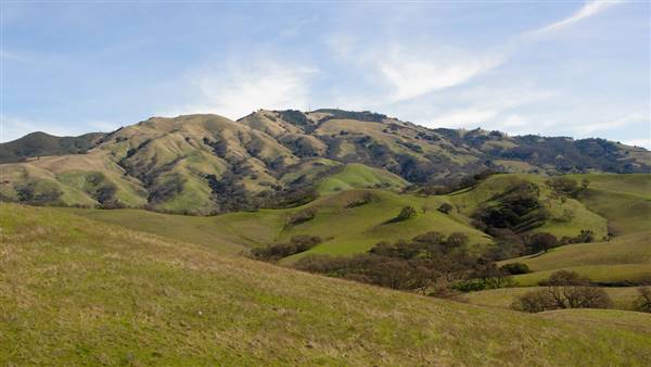 Mount Diablo State Park (SP) (2/5/2011 - Credits: "The Diablo Trail Mount Diablo State Parkl" by Miguel Vieira (CC BY 2.0) [https://creativecommons.org/licenses/by/2.0/legalcode] https://www.flickr.com/photos/miguelvieira/)
