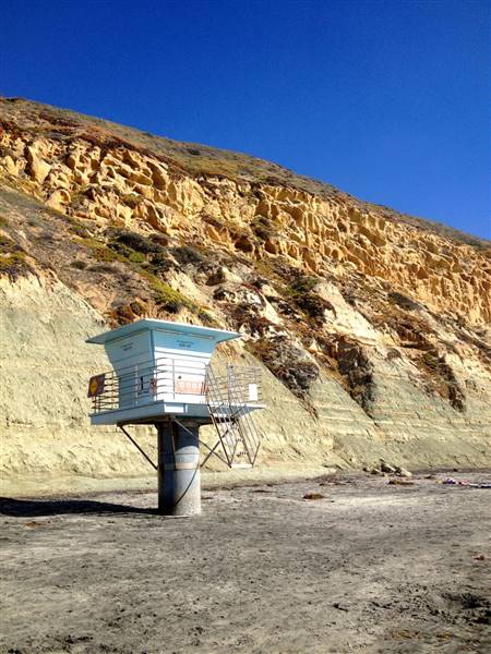 Torrey Pines State Beach (SB) (3/8/2014 - Credits: "Torrey Pines State Reserve" by Brian Dearth (CC BY 2.0) [https://creativecommons.org/licenses/by/2.0/legalcode] https://www.flickr.com/photos/bdearth/)
