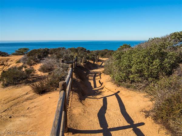 Torrey Pines State Natural Reserve (SNR) (1/3/2013 - Credits: Torrey Pines State Reserve' by Tim Buss (CC BY 2.0) [https://creativecommons.org/licenses/by/2.0/legalcode] https://www.flickr.com/photos/timbuss/)