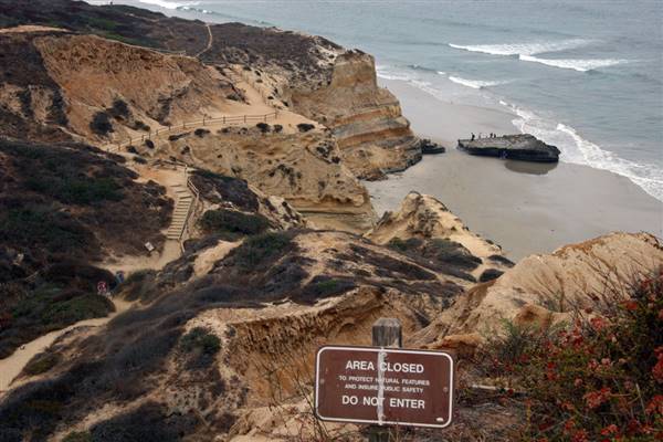 Torrey Pines State Natural Reserve (SNR) (8/21/2009 - Credits: Torrey Pines 10' by Flickr User; Joevare (CC BY-ND 2.0) [https://creativecommons.org/licenses/by-nd/2.0/legalcode] https://www.flickr.com/photos/joevare/)
