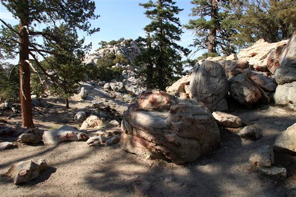 Mount San Jacinto State Park (SP) & Palm Springs Aerial Tramway (8/28/2009 - Credits: "Mount San Jacinto State Park 07" by Flickr User: Joevare (CC BY-ND 2.0)[https://creativecommons.org/licenses/by-nd/2.0/legalcode]https://www.flickr.com/photos/joevare/)