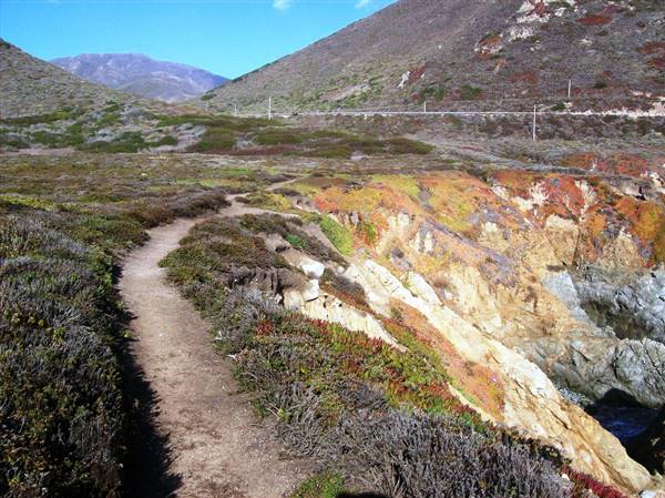 Garrapata State Park (SP) (10/17/2007 - Credits: "garrapata29" by Matthew Lee High (CC BY-NC 2.0)[https://creativecommons.org/licenses/by-nc/2.0/legalcode]https://www.flickr.com/photos/matthigh/)