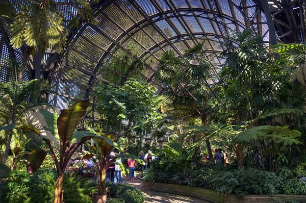 Balboa Park (10/10/2009 - Credits: "Botanical Garden, Balboa Park" by Steve Perry (CC BY-NC-ND 2.0)[https://creativecommons.org/licenses/by-nd/2.0/legalcode]https://www.flickr.com/photos/stevenperry/)