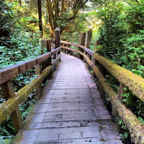 Redwood National & State Parks (9/3/2013 - Credits: "Zen Walking Path at the Redwood National Park" by Ben Rogers (CC BY-NC 2.0)[https://creativecommons.org/licenses/by-nc/2.0/legalcode]https://www.flickr.com/photos/benrogerswpg/)