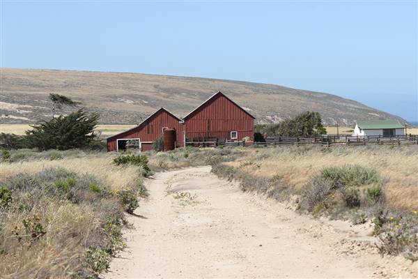 Channel Islands National Park - Santa Rosa Island (5/11/2014 - Credits: "Santa Rosa Island" by Edward Stojakovic (CC BY 2.0)[https://creativecommons.org/licenses/by/2.0/legalcode]https://www.flickr.com/photos/akasped/)