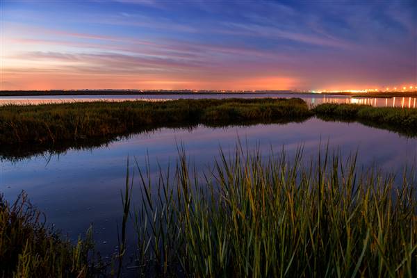 Bolsa Chica Ecological Reserve - California Department of Fish & Wildlife (CDFW) (7/10/2012 - Credits: "Bolsa Chica Revisted" by Flickr User: bmalarky (CC BY-NC-ND 2.0)[https://creativecommons.org/licenses/by-nc-nd/2.0/legalcode]https://www.flickr.com/photos/bigroar/)