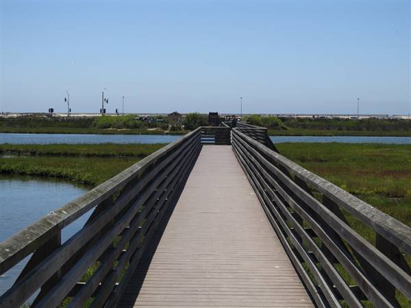 Bolsa Chica Ecological Reserve - California Department of Fish & Wildlife (CDFW) (8/6/2011 - Credits: "Bolsa Chica Ecological Reserve, Huntington Beach, California" by Ken Lund (CC BY-SA 2.0)[https://creativecommons.org/licenses/by-sa/2.0/legalcode]https://www.flickr.com/photos/kenlund/)