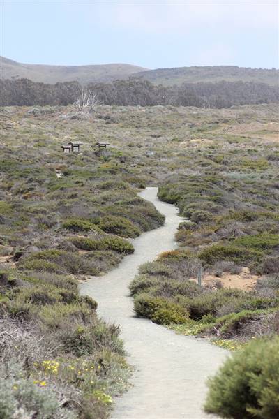 Montana de Oro State Park (SP) (6/6/2012 - Credits: "Montana de Oro: Sandspit Beach" By John Hyun (CC BY-NC-ND 2.0)[https://creativecommons.org/licenses/by-nc-nd/2.0/legalcode]https://www.flickr.com/photos/jshyun/)