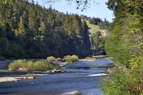John B. Dewitt Redwoods State National Reserve (SNR) (8/4/2016 - Credits: Photograph courtesy of David Baselt | http://www.redwoodhikes.com/Dewitt/Dewitt.html)