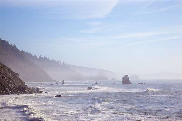 Del Norte Coast Redwoods State Park (SP) within the Redwood National and State Parks (8/4/2016 - Credits: Photograph courtesy of David Baselt - http://www.redwoodhikes.com/DelNorte/DelNorte.html)