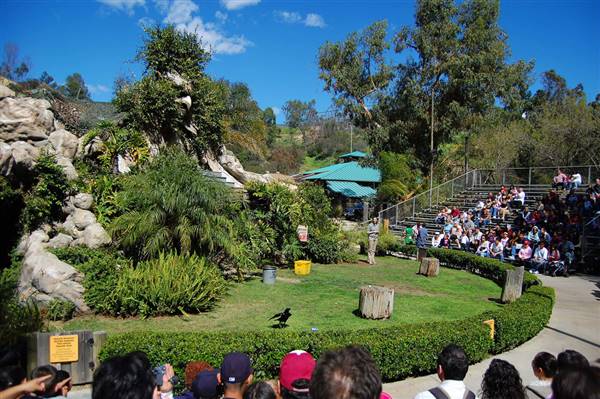 Los Angeles Zoo & Botanical Gardens - LA Zoo (3/16/2008 - Credits: "Bird Show" by Flickr User: wehardy (CC BY-NC-ND 2.0)[https://creativecommons.org/licenses/by-nc-nd/2.0/legalcode]https://www.flickr.com/photos/wehardy/)