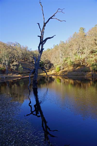 Henry W. Coe State Park (SP) (12/4/2011 - Credits: "2011-12-04 Morgan Hill, Henry W. Coe State Wilderness Park 029.jpg" by Allie Caulfield (CC BY 2.0)[https://creativecommons.org/licenses/by/2.0/legalcode]https://www.flickr.com/photos/wm_archiv/)