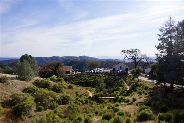Henry W. Coe State Park (SP) (12/4/2011 - Credits: "2011-12-04 Morgan Hill, Henry W. Coe State Wilderness Park 002.jpg" by Allie Caulfield (CC BY 2.0)[https://creativecommons.org/licenses/by/2.0/legalcode]https://www.flickr.com/photos/wm_archiv/)