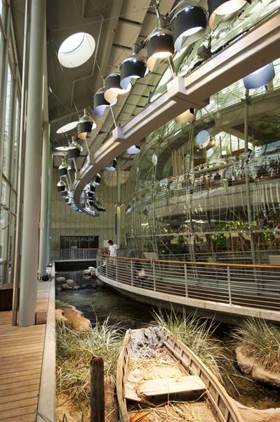 California Academy of Sciences (6/28/2014 - Credits: Photograph Courtesy of Visit California)