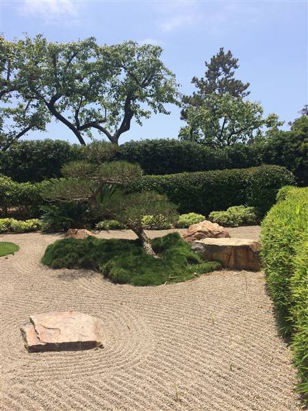 Earl Burns Miller Japanese Garden - California State University Long Beach - CSULB (5/15/2016 - Credits: "Untitled" by Sergei Gussev (CC BY 2.0)[https://creativecommons.org/licenses/by/2.0/legalcode]https://www.flickr.com/photos/sergeigussev/)