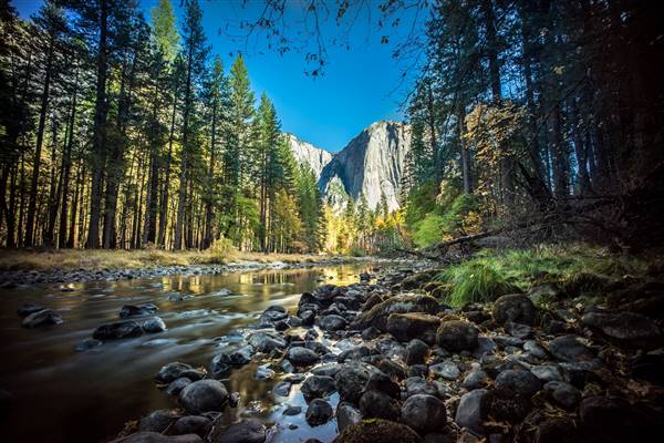 Yosemite National Park (11/14/2014 - Credits: "A view of El Capitan, Yosemite National Park, United States" by Giuseppe Milo (CC BY-NC 2.0)[https://creativecommons.org/licenses/by-nc/2.0/legalcode]https://www.flickr.com/photos/giuseppemilo/)