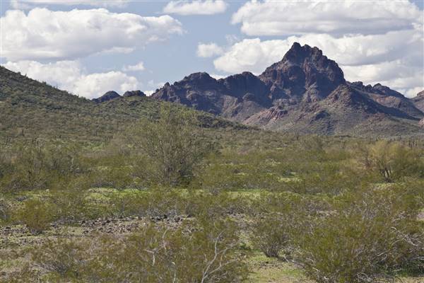 Sugarloaf Mountain (3/4/2010 - Credits: "Hummingbird Springs Wilderness" by Bureau of Land Management (CC BY 2.0)[https://creativecommons.org/licenses/by/2.0/legalcode]https://www.flickr.com/photos/mypubliclands/)