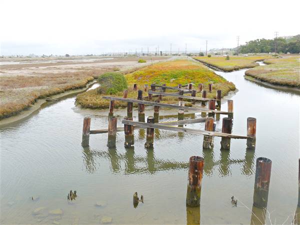 Ballona Wetlands Ecological Reserve - California Department of Fish & Wildlife (CDFW) (2/13/2012 - Credits: "Ballona Wetlands" by Flickr User: Travelingman (CC BY-NC-ND 2.0)[https://creativecommons.org/licenses/by-nc-nd/2.0/legalcode] https://www.flickr.com/photos/travelingman/)