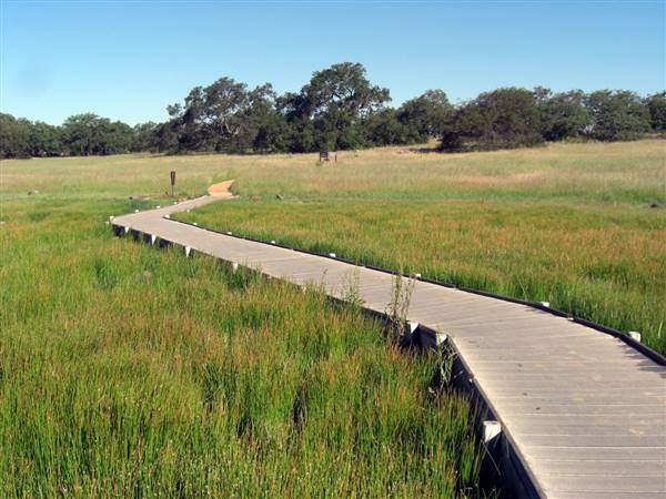 Santa Rosa Plateau Ecological Reserve - Riverside County & California Department of Fish & Wildlife (CDFW) (7/26/2014 - Credits: "Boardwalk over vernal pool" by Roy Randall (CC BY-NC-ND 2.0)[https://creativecommons.org/licenses/by-nc-nd/2.0/legalcode]https://www.flickr.com/photos/zeroy/)