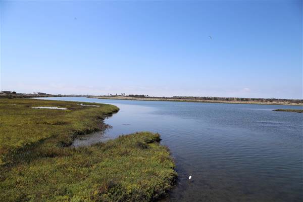 Bolsa Chica Ecological Reserve - California Department of Fish & Wildlife (CDFW) (10/18/2016 - Credits: Photo courtesy of Kris Bunting)