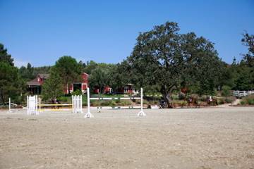 El Campeon Farms - Windy Hill Ranch (10/21/2016)