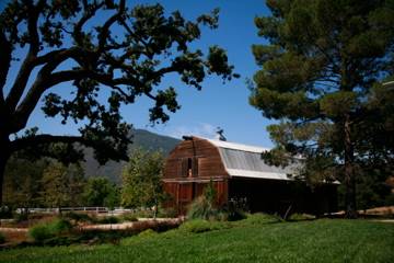 El Campeon Farms - Windy Hill Ranch (10/21/2016)