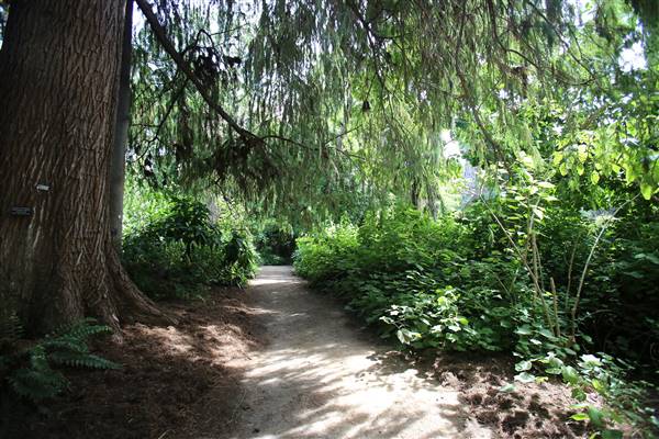 Los Angeles County Arboretum (11/3/2016 - Credits: Photo courtesy of Kris Bunting)
