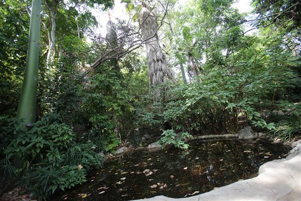 Los Angeles County Arboretum (11/3/2016 - Credits: Photo courtesy of Kris Bunting)