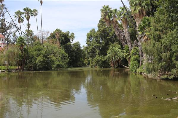 Los Angeles County Arboretum (11/3/2016 - Credits: Photo courtesy of Kris Bunting)