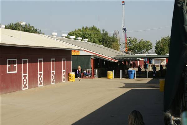 Kern County Fair - 15th DAA - Various Barn and Livestock Areas (11/7/2016 - Credits: Barns & Livestock Area - Photo courtesy of Kern County Fair)