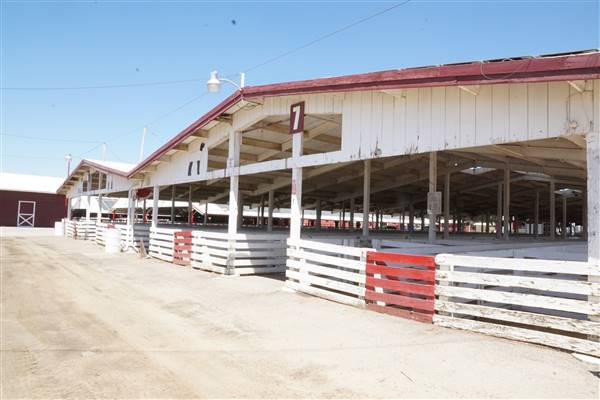 Kern County Fair - 15th DAA - Various Barn and Livestock Areas (11/7/2016 - Credits: Barns & Livestock Area - Photo courtesy of Kern County Fair)