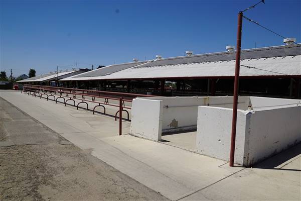 Kern County Fair - 15th DAA - Various Barn and Livestock Areas (11/7/2016 - Credits: Barns & Livestock Area - Photo courtesy of Kern County Fair)