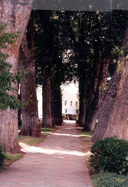 City Plaza (12/31/2003)