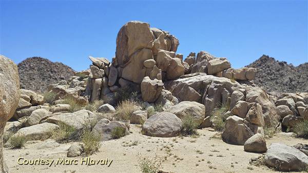 Desert View Conservation Area (4/28/2014 - Credits: Marc Hlavaty)
