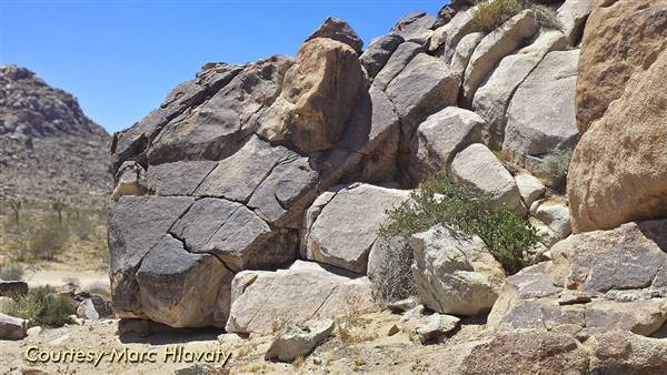 Desert View Conservation Area (4/28/2014 - Credits: Marc Hlavaty)