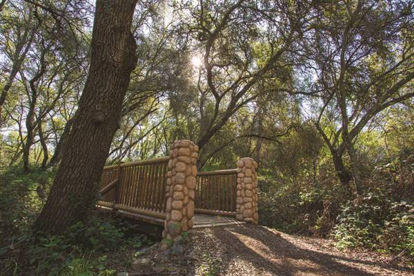 Hidden Falls Regional Park (4/20/2017 - Credits: Eric Bergen)