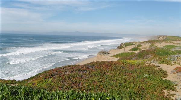 Fort Ord Dunes State Park (SP) (6/28/2017)