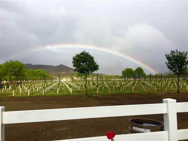 Epona Estate (7/5/2017)