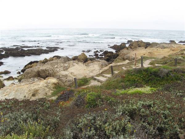 Asilomar State Beach and Conference Grounds (6/28/2017)